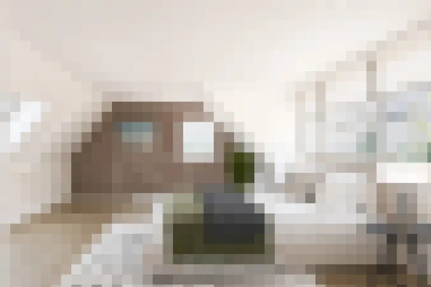 Kievitstraat 12 Delden thumbnail 37