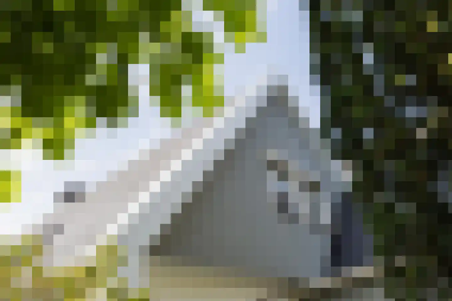 Kievitstraat 12 Delden thumbnail 44