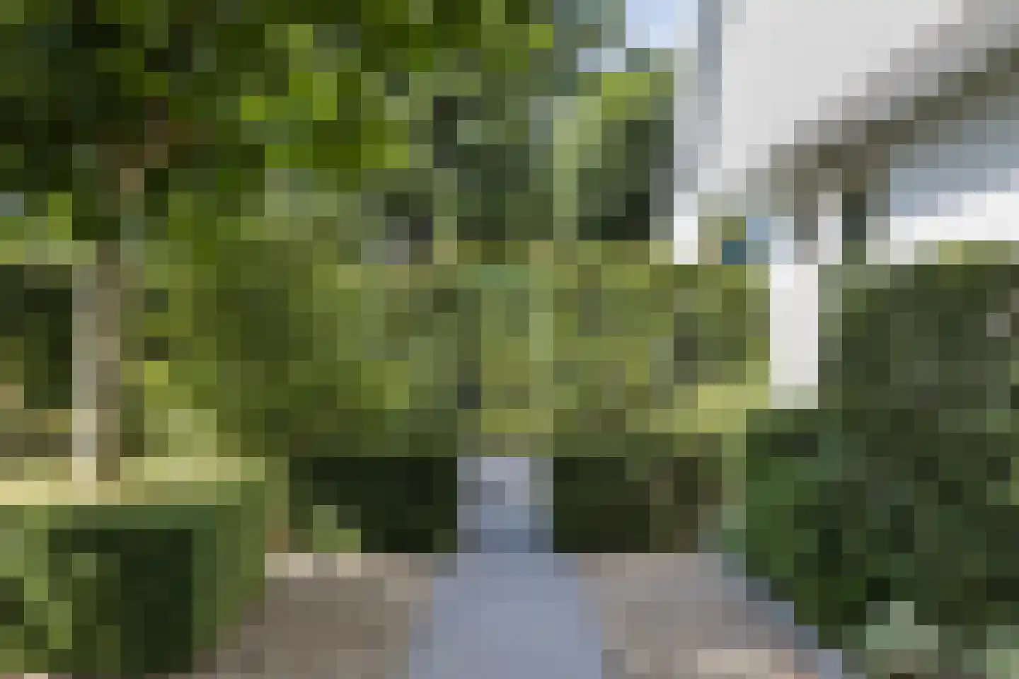 Kievitstraat 12 Delden thumbnail 48