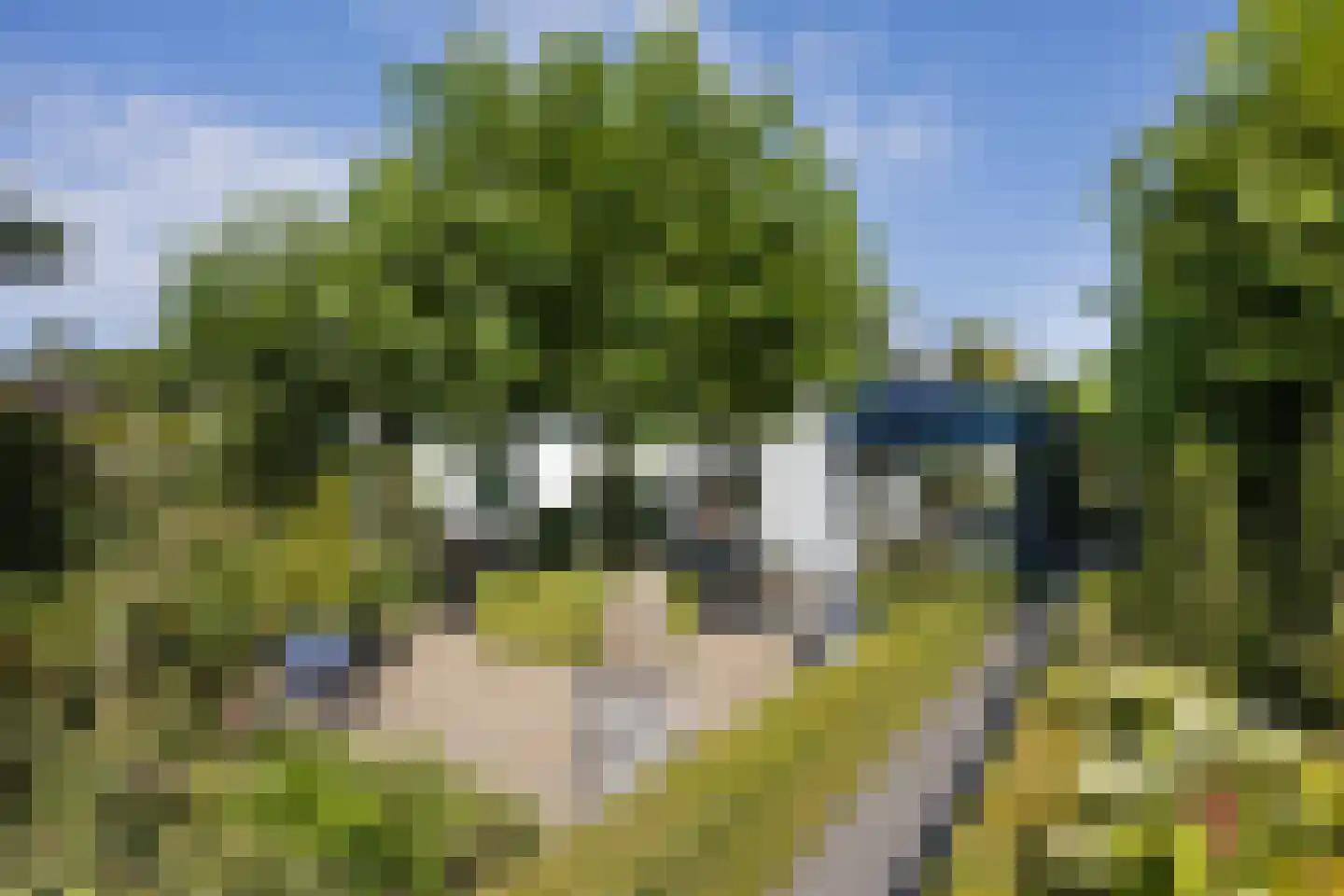 Kievitstraat 12 Delden thumbnail 6