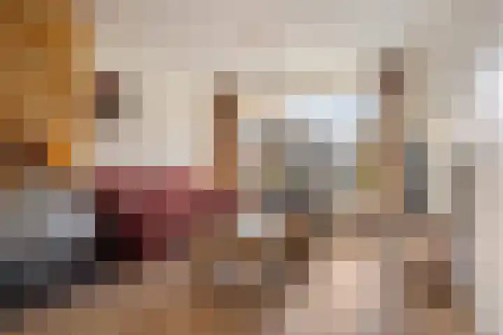 Kievitstraat 12 Hengelo thumbnail 13