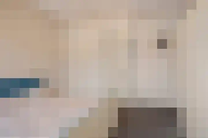 Kievitstraat 12 Hengelo thumbnail 22