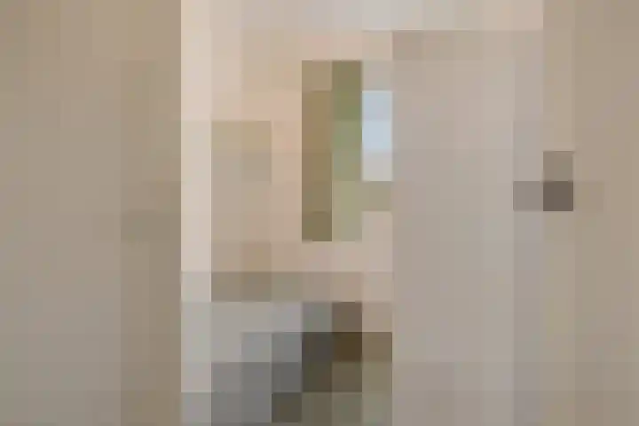 Kievitstraat 12 Hengelo thumbnail 30