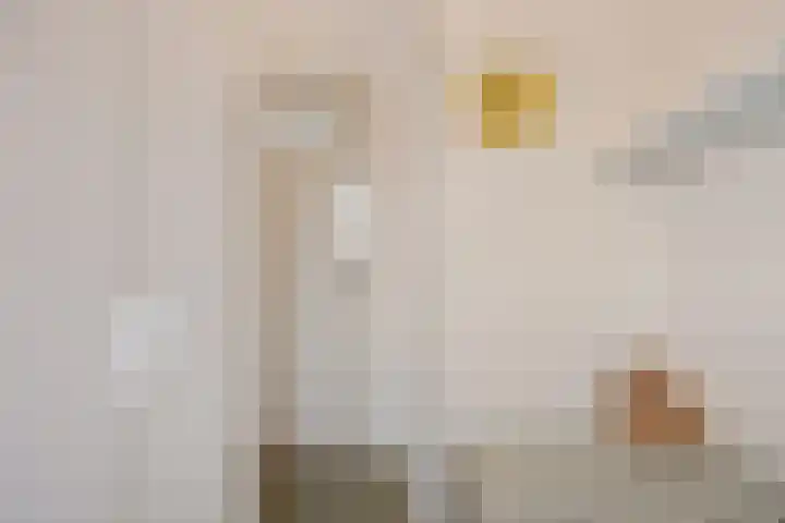 Kievitstraat 12 Hengelo thumbnail 32