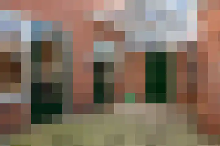Kievitstraat 12 Hengelo thumbnail 36