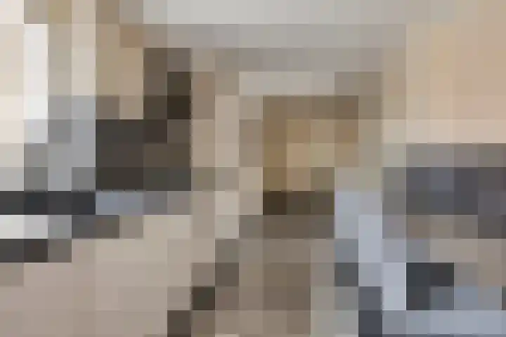 Kievitstraat 12 St. Willebrord thumbnail 16