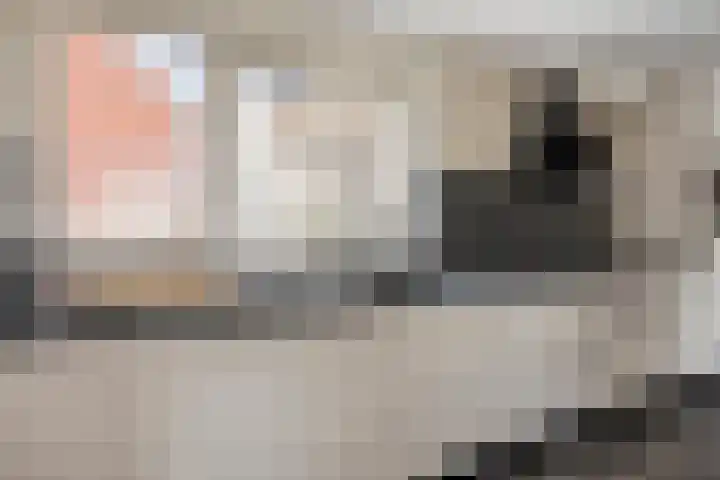 Kievitstraat 12 St. Willebrord thumbnail 17