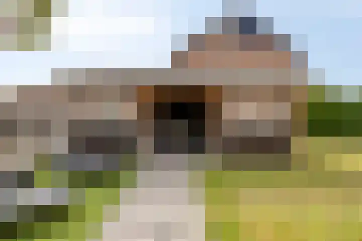 Kievitstraat 12 St. Willebrord thumbnail 38