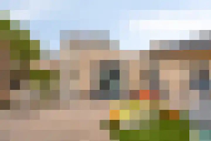 Kievitstraat 12 St. Willebrord thumbnail 45