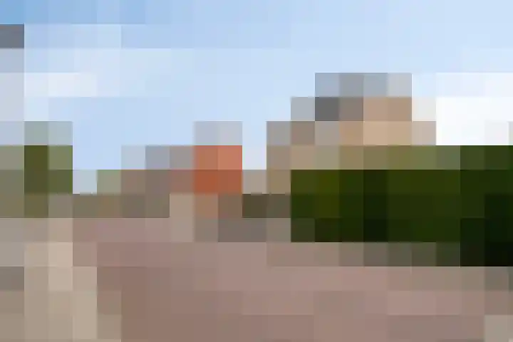 Kievitstraat 12 St. Willebrord thumbnail 48