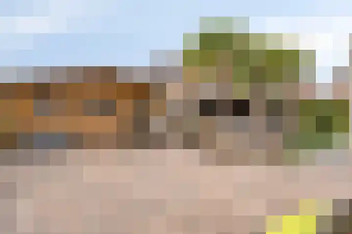 Kievitstraat 12 St. Willebrord thumbnail 5