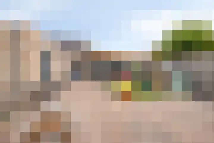 Kievitstraat 12 St. Willebrord thumbnail 6