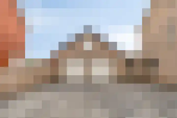 Kievitstraat 12 St. Willebrord thumbnail 7