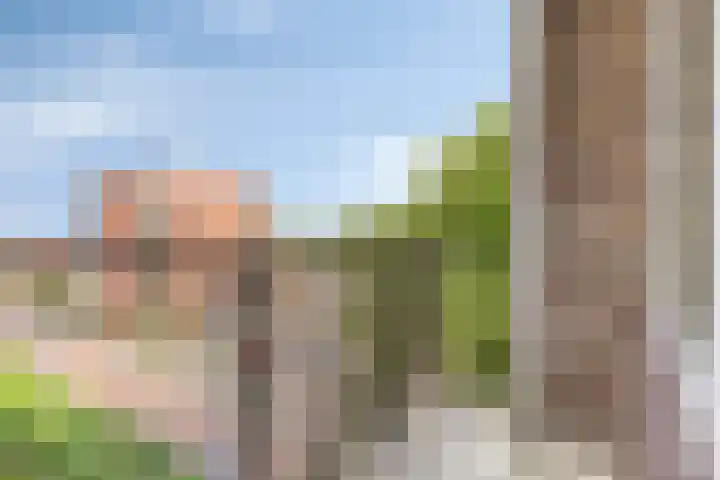 Kievitstraat 12 Wormerveer thumbnail 22