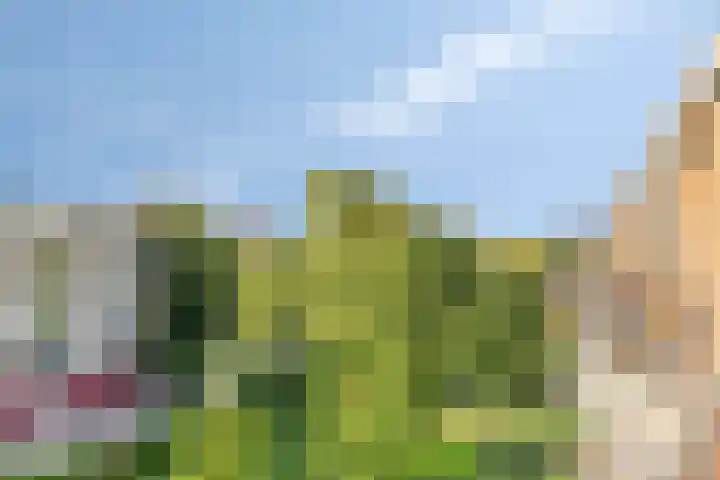 Kievitstraat 12 Wormerveer thumbnail 26