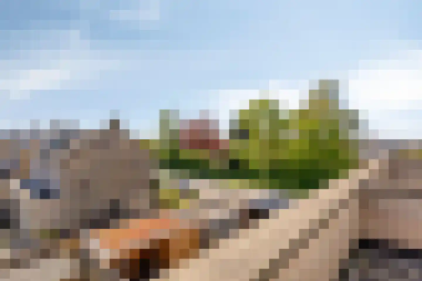 Kievitstraat 122 Kampen thumbnail 47