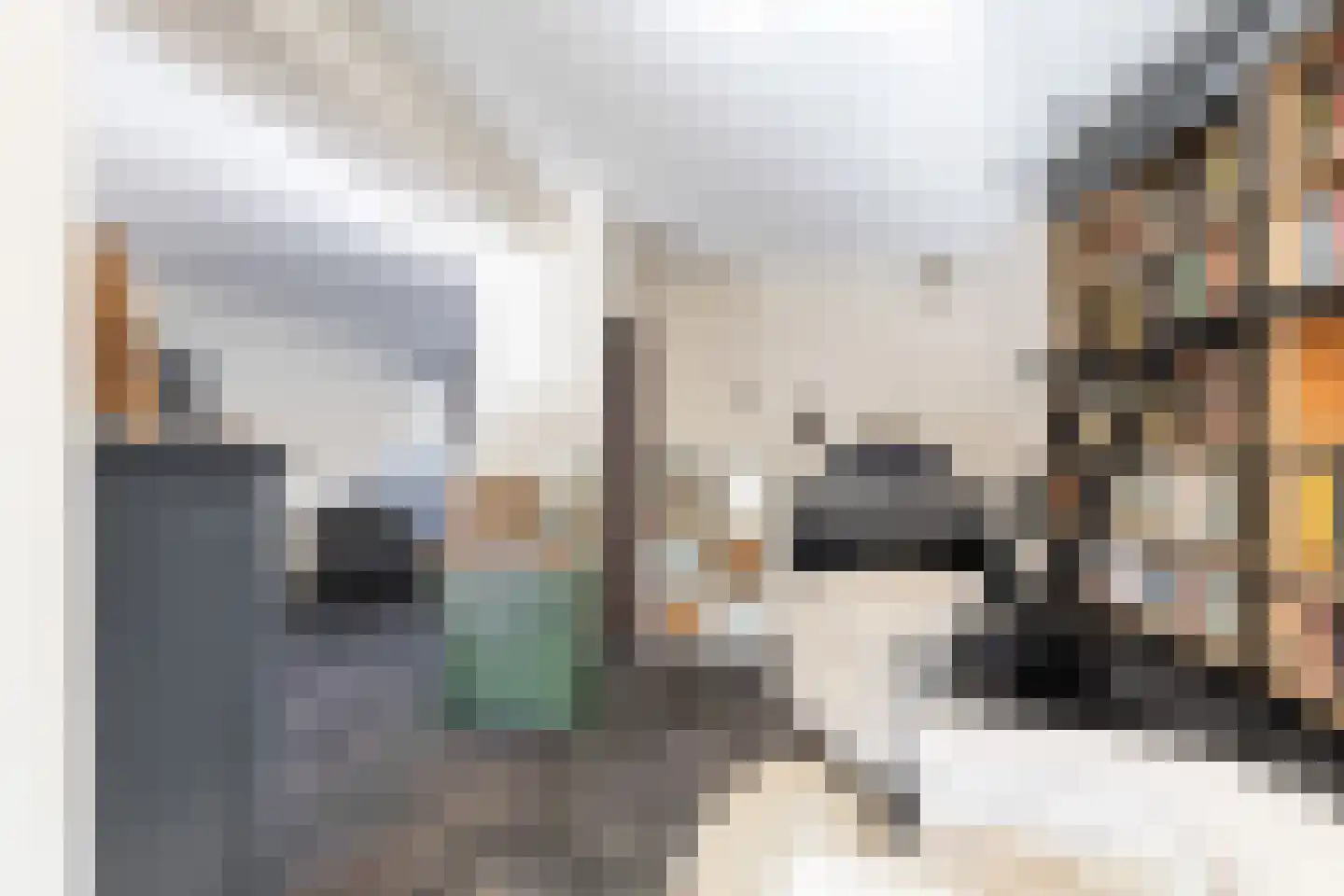 Kievitstraat 127 Ermelo thumbnail 13