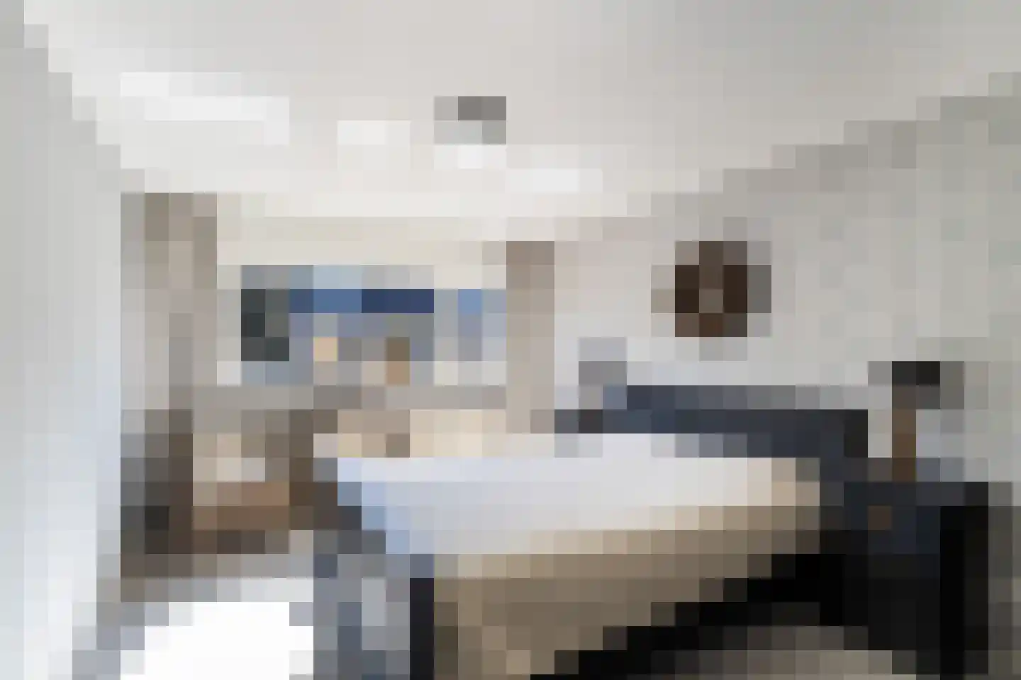Kievitstraat 127 Ermelo thumbnail 31