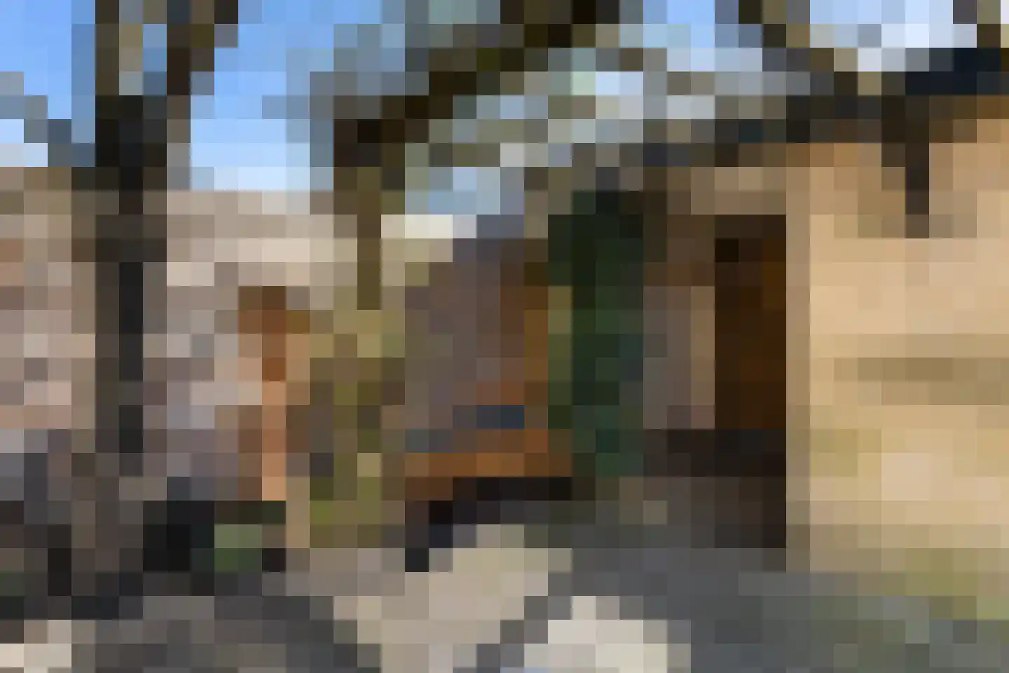 Kievitstraat 127 Ermelo thumbnail 55