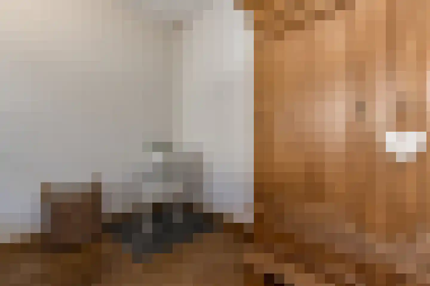 Kievitstraat 13 Bruchem thumbnail 12
