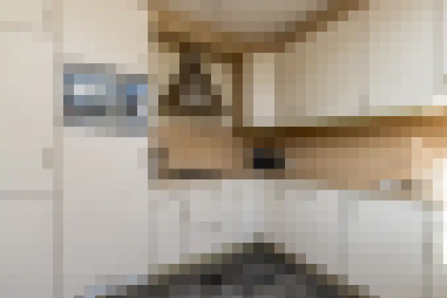 Kievitstraat 13 Bruchem thumbnail 18