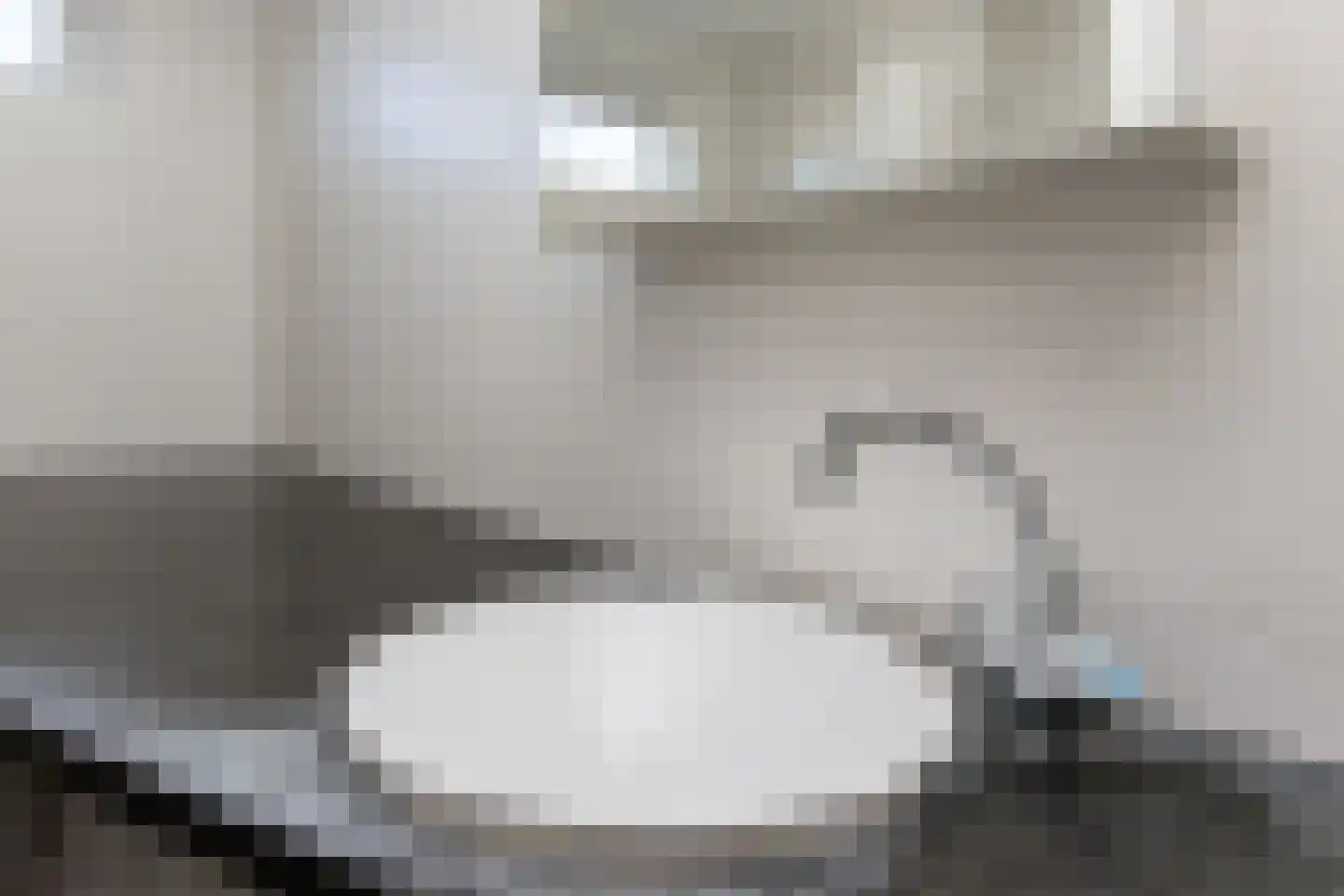 Kievitstraat 13 Bruchem thumbnail 34