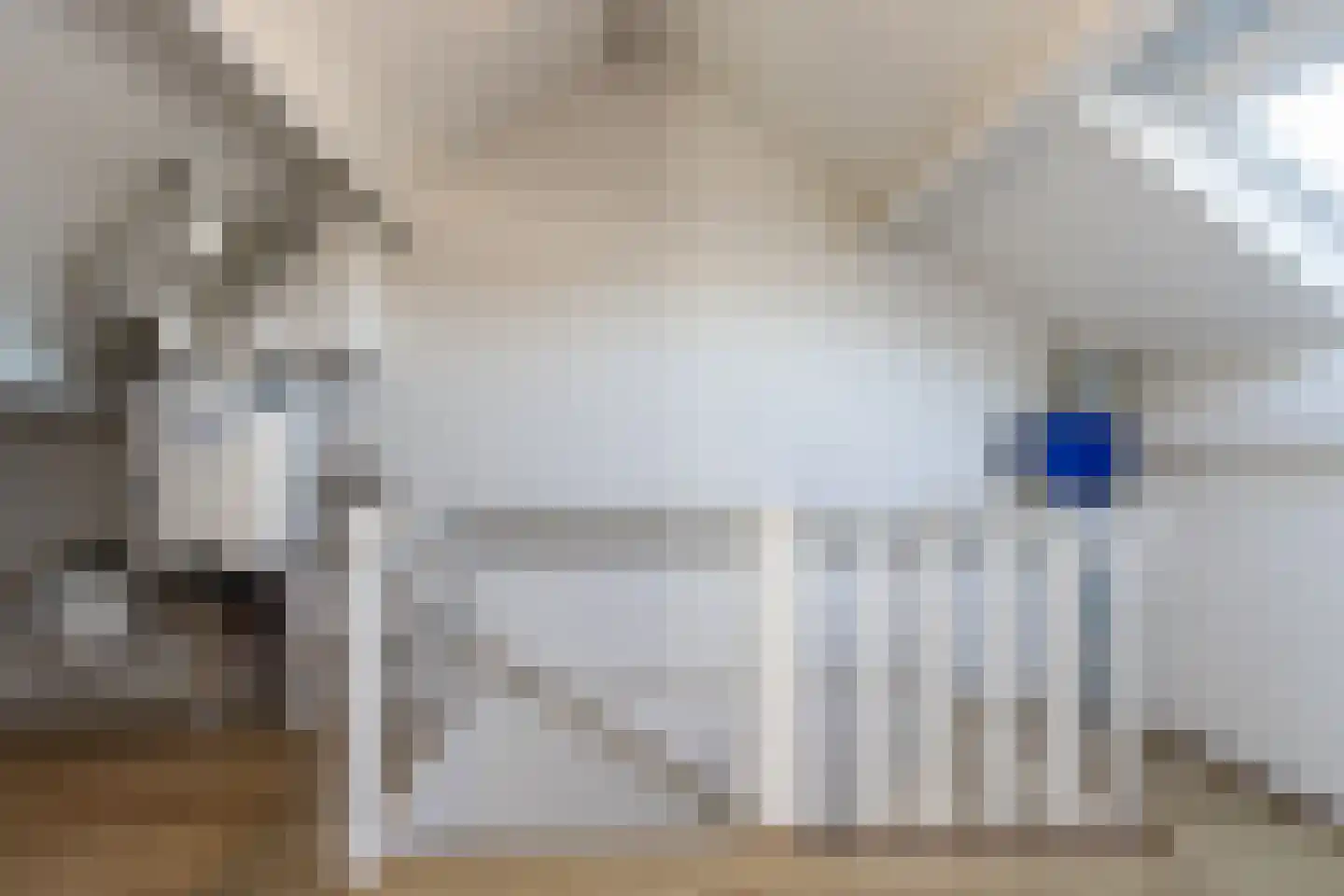 Kievitstraat 13 Bruchem thumbnail 38