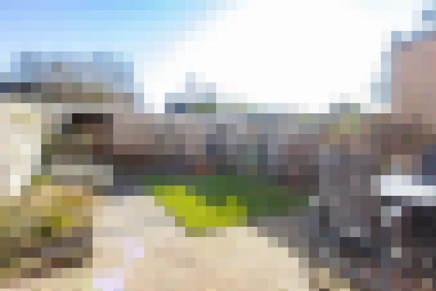 Kievitstraat 13 Bruchem thumbnail 45