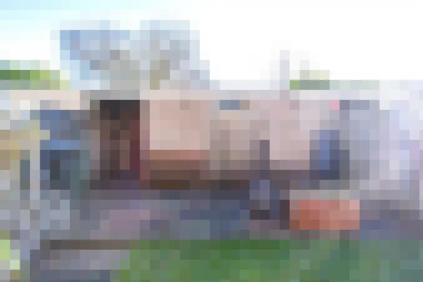 Kievitstraat 13 Bruchem thumbnail 46