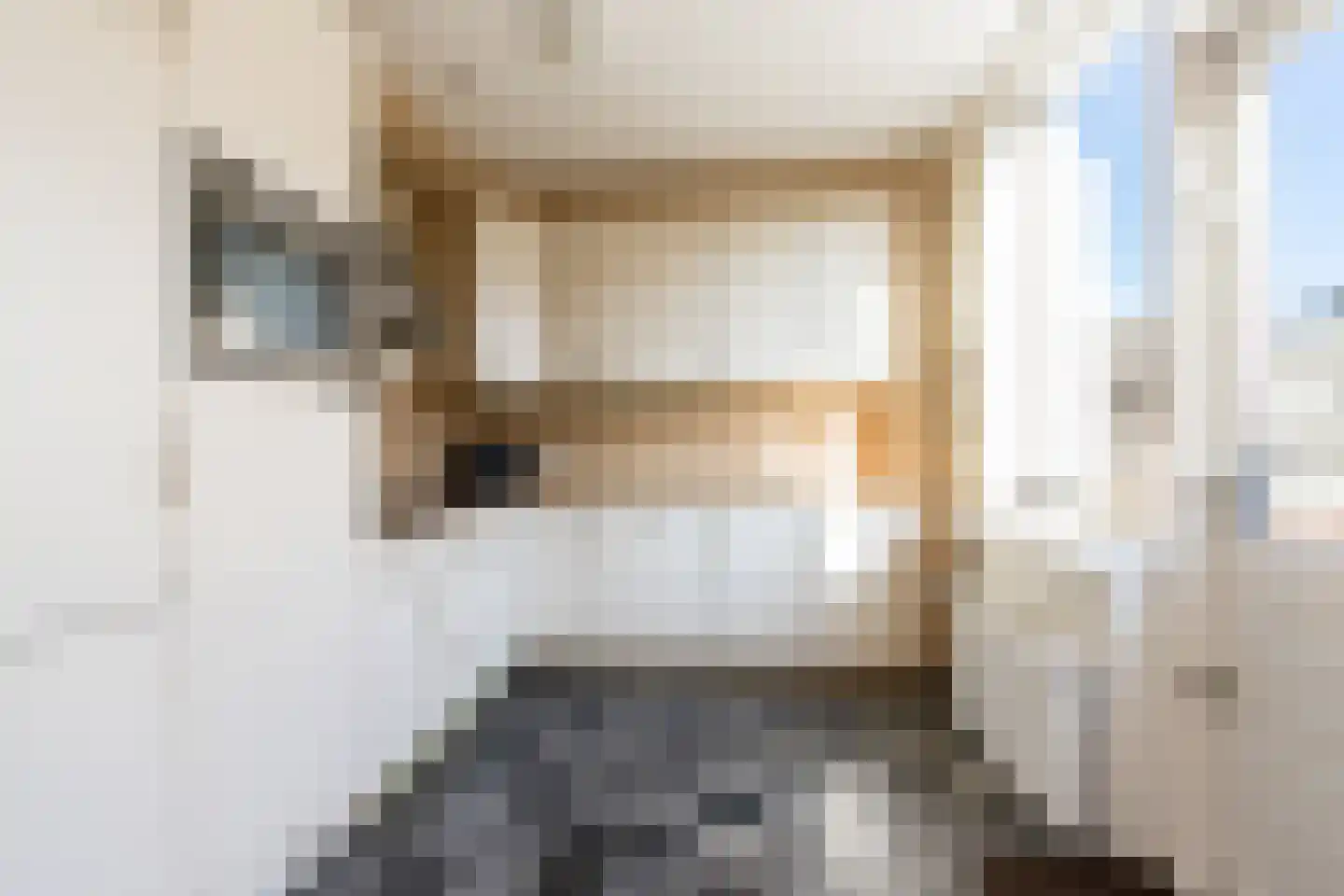 Kievitstraat 13 Bruchem thumbnail 5