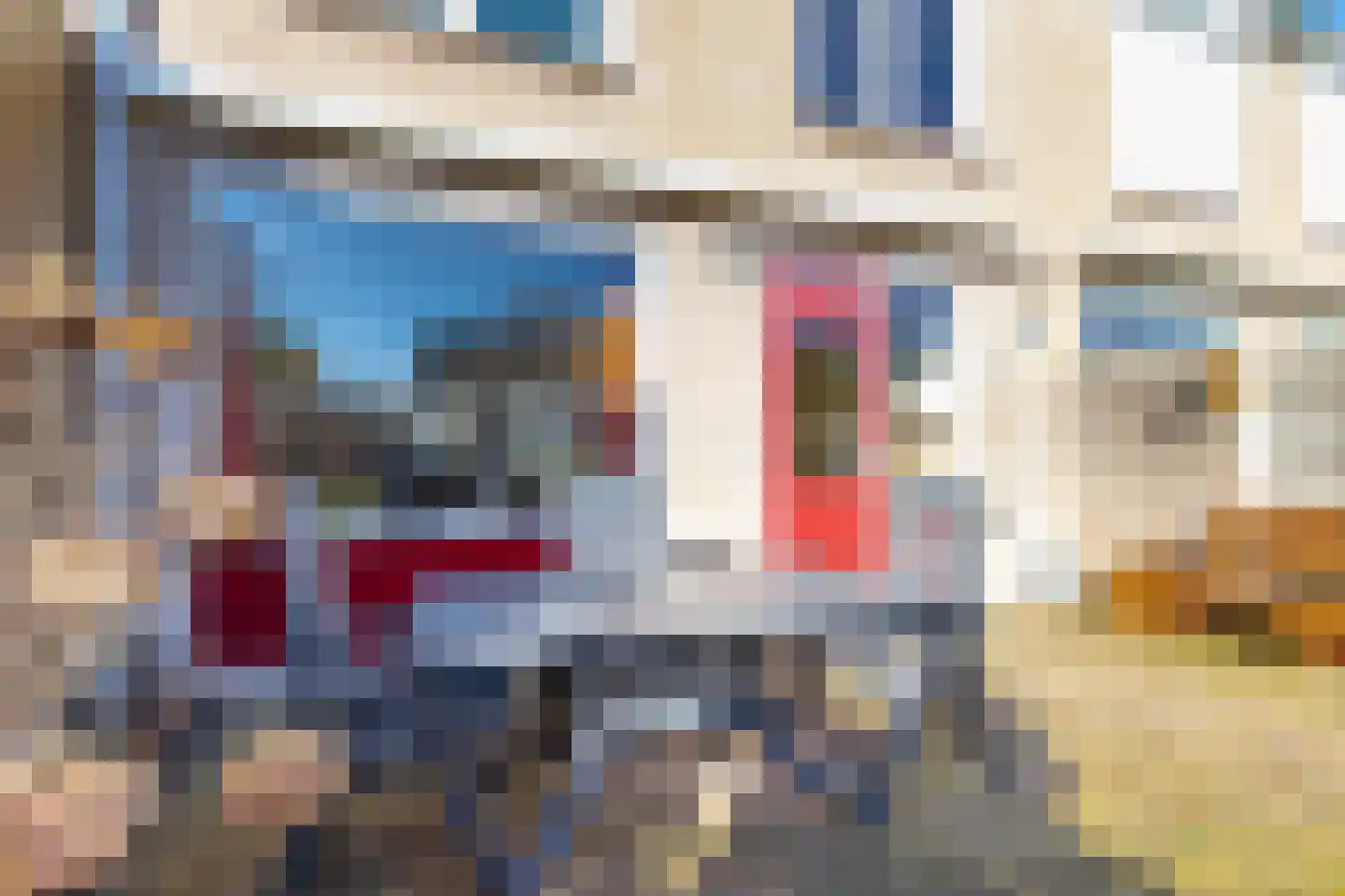 Kievitstraat 13 Bruchem thumbnail 50
