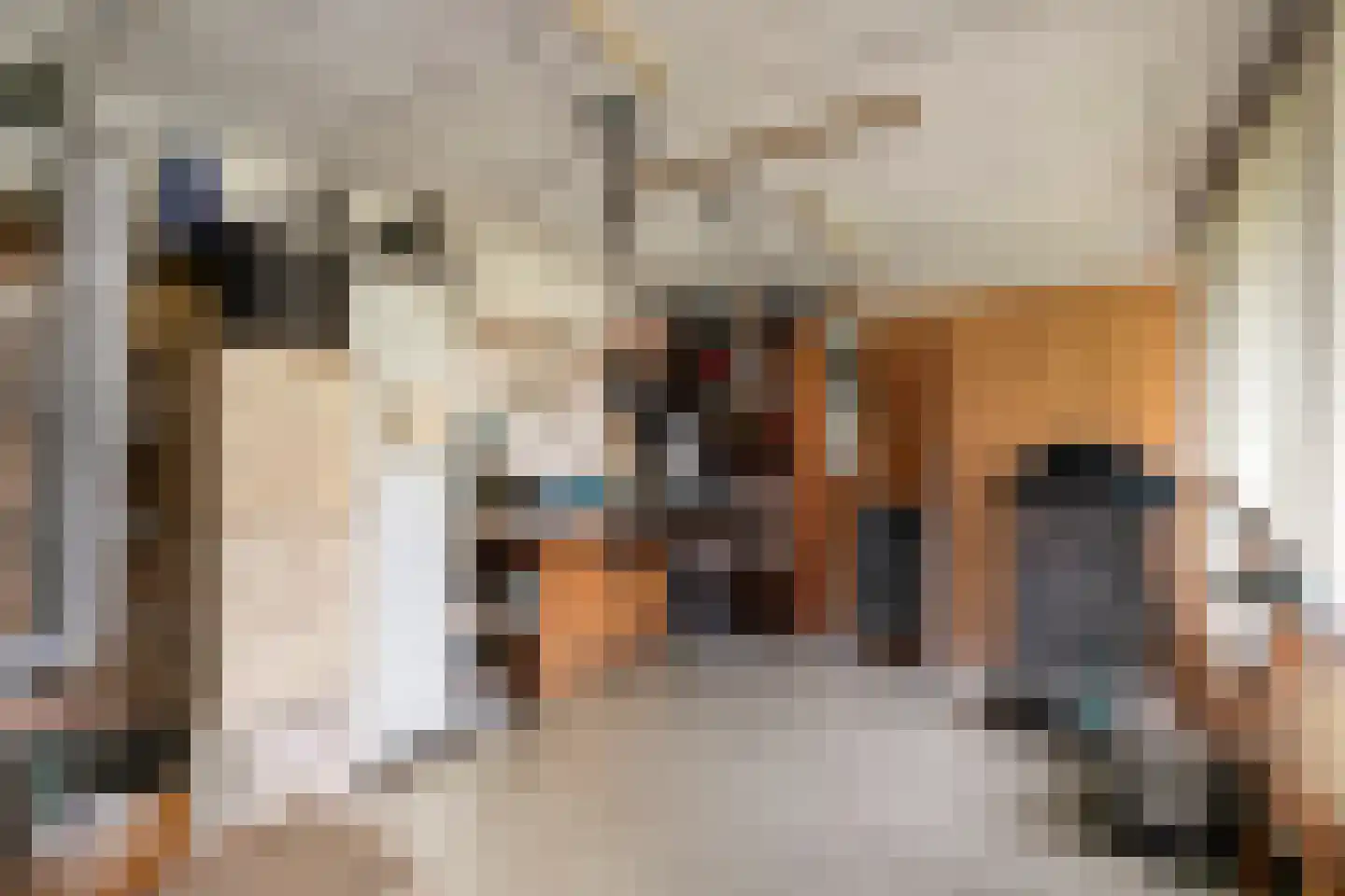 Kievitstraat 13 Delden thumbnail 37