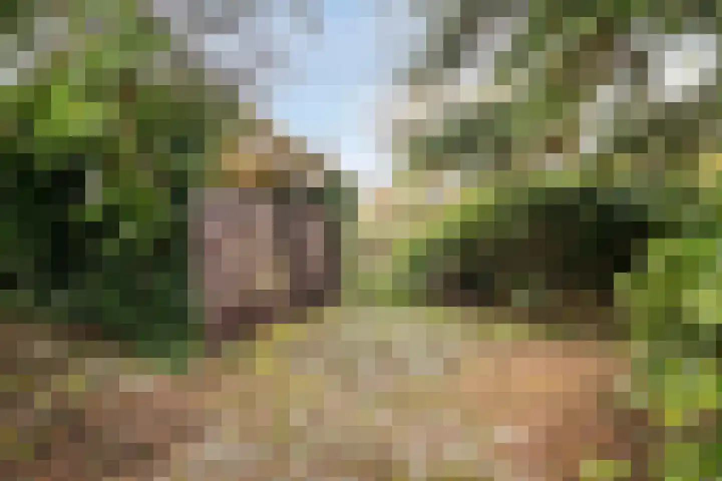Kievitstraat 13 Delden thumbnail 47