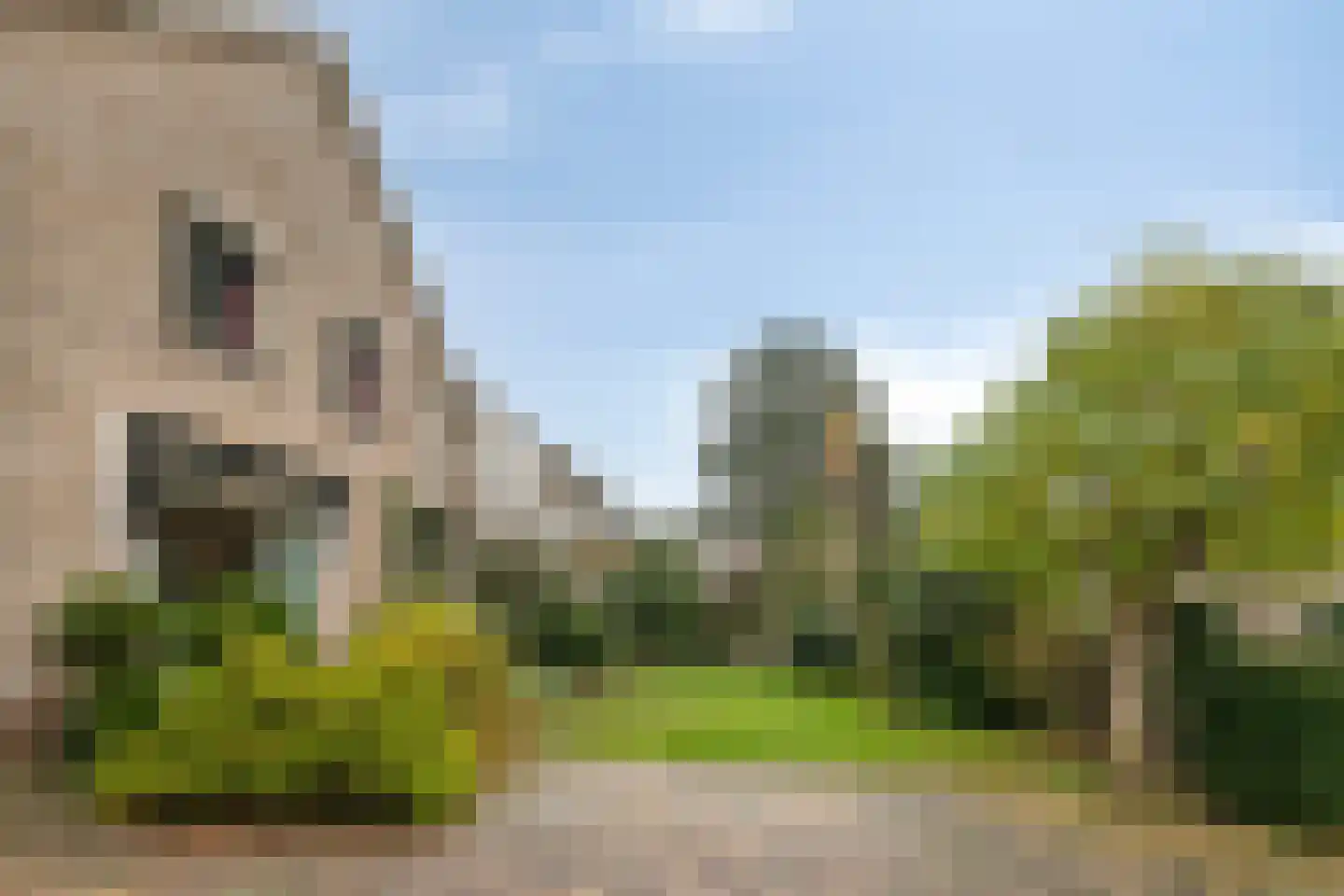 Kievitstraat 13 Delden thumbnail 48