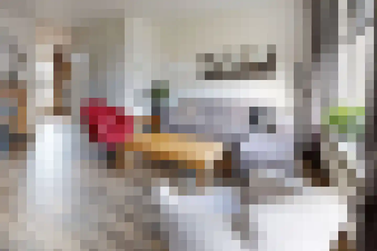 Kievitstraat 13 Fijnaart thumbnail 15