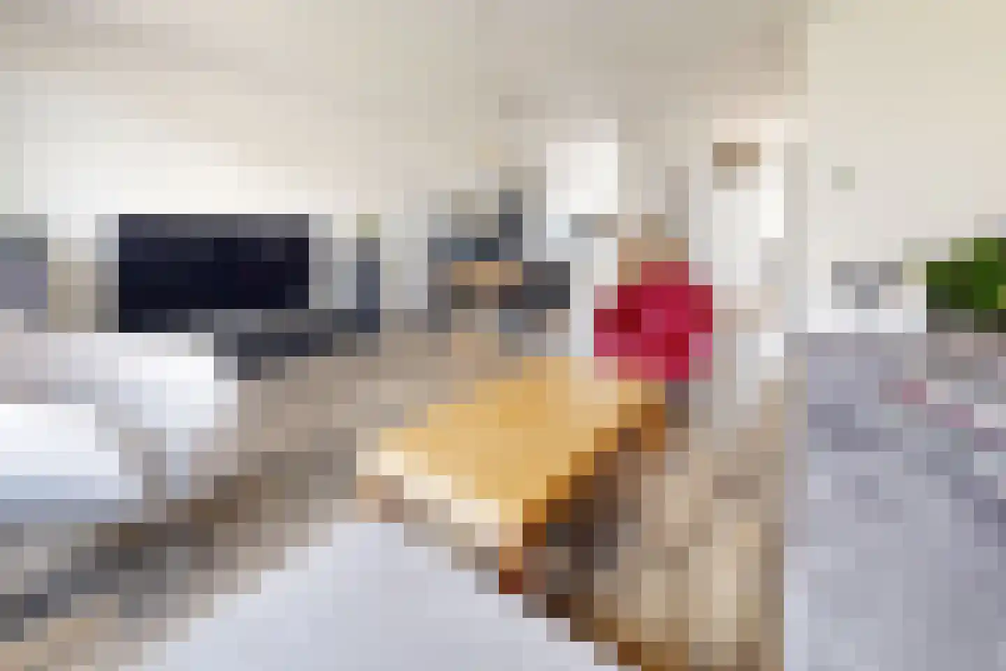 Kievitstraat 13 Fijnaart thumbnail 16