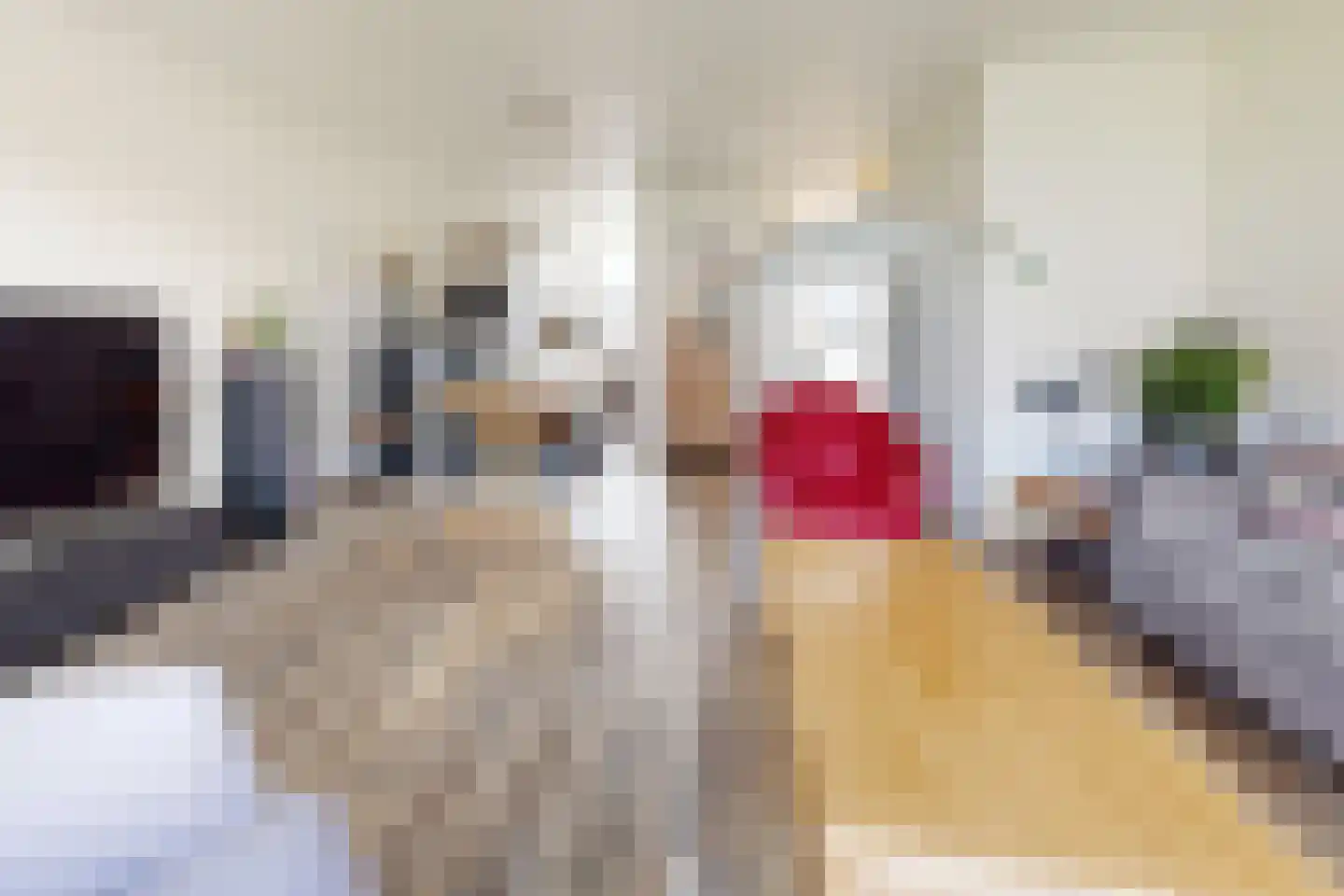 Kievitstraat 13 Fijnaart thumbnail 17