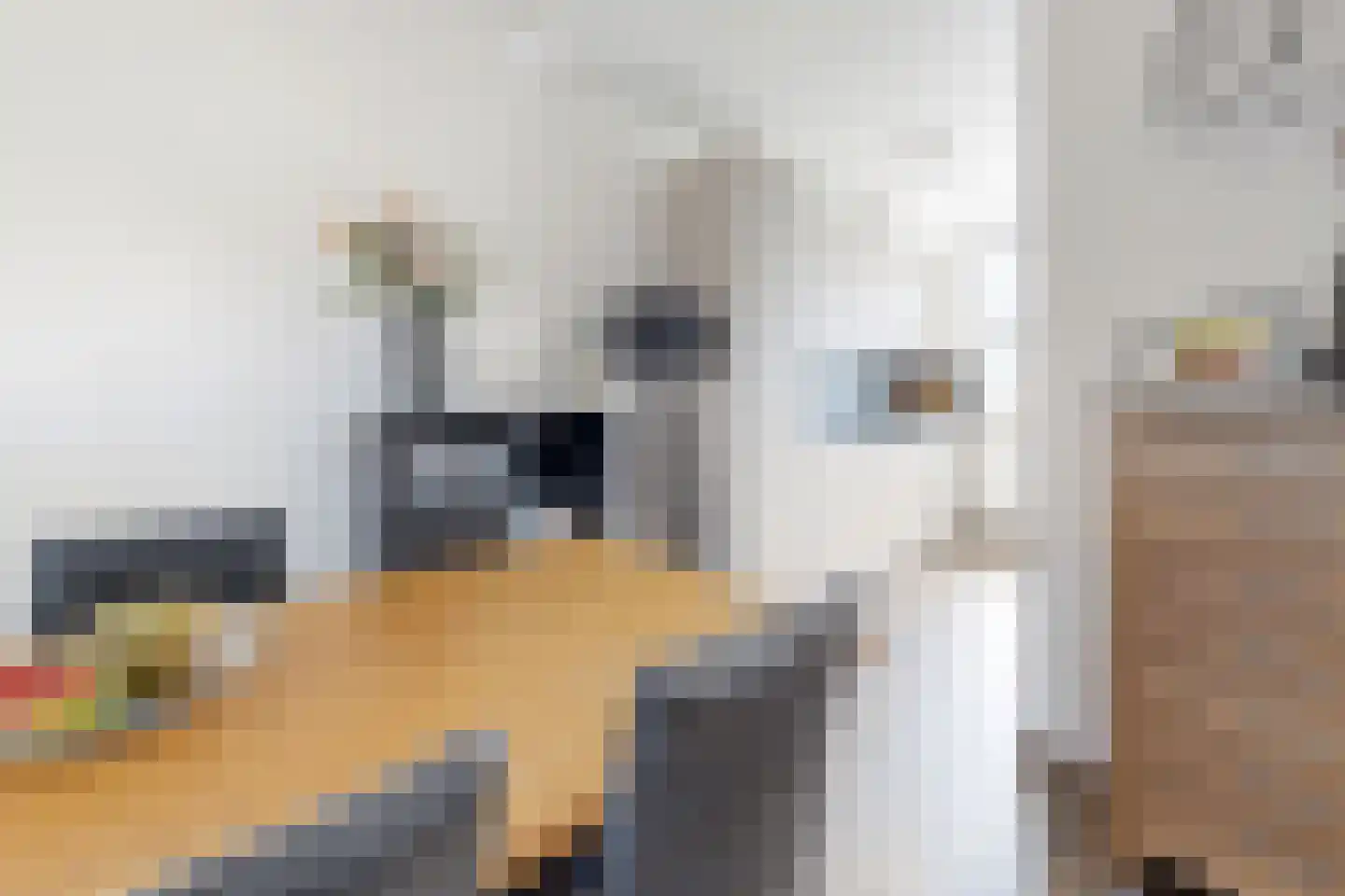 Kievitstraat 13 Fijnaart thumbnail 20