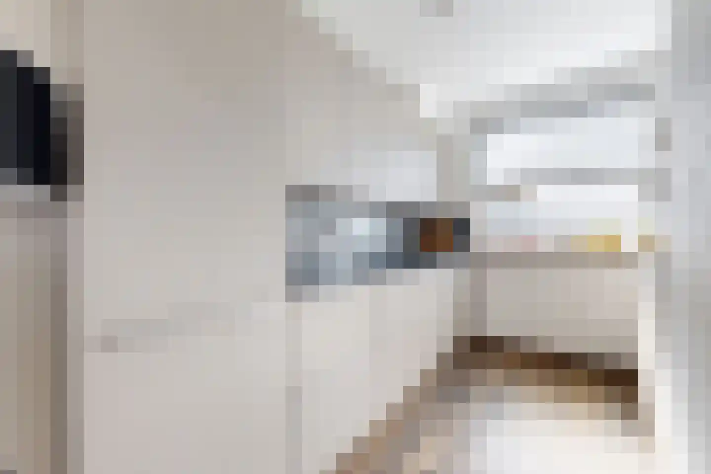 Kievitstraat 13 Fijnaart thumbnail 21