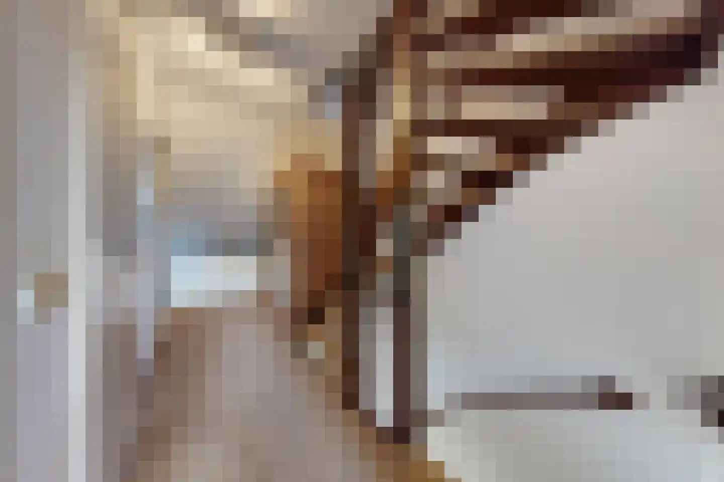 Kievitstraat 13 Fijnaart thumbnail 26