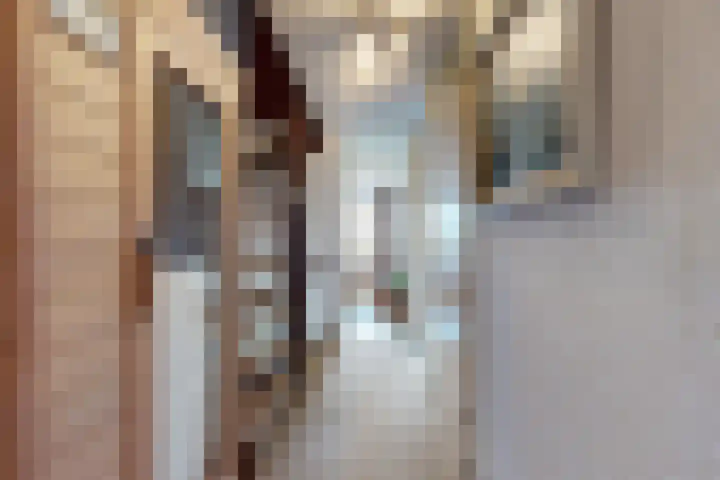 Kievitstraat 13 Fijnaart thumbnail 30