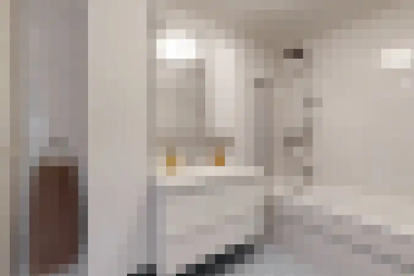 Kievitstraat 13 Fijnaart thumbnail 38
