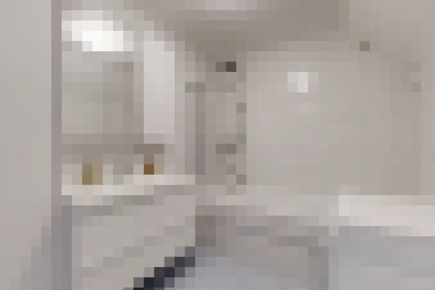 Kievitstraat 13 Fijnaart thumbnail 5