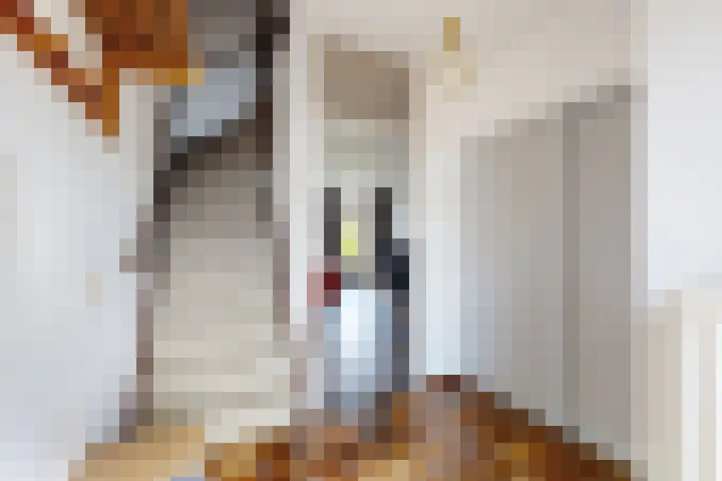 Kievitstraat 13 Fijnaart thumbnail 8