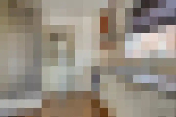 Kievitstraat 13 Goor thumbnail 13