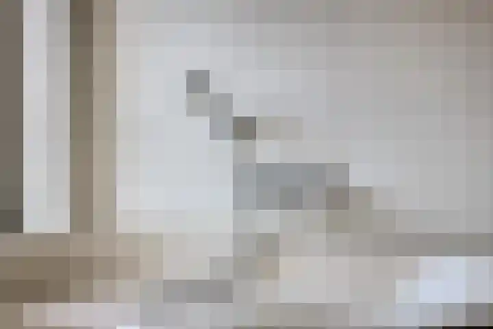 Kievitstraat 13 Goor thumbnail 21