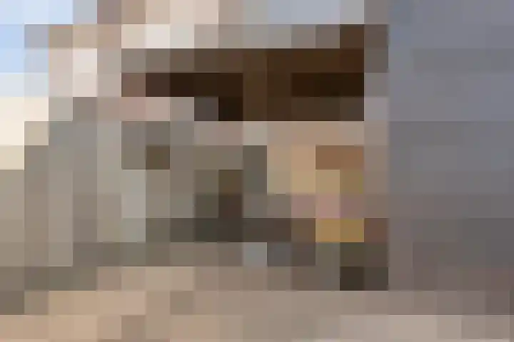 Kievitstraat 13 Goor thumbnail 25