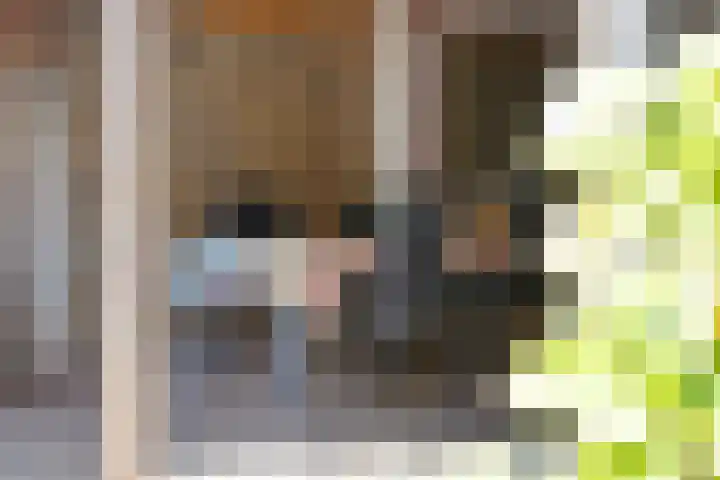 Kievitstraat 13 Goor thumbnail 27