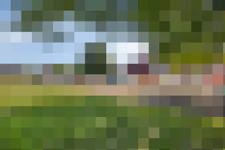 Kievitstraat 13 Goor thumbnail 30
