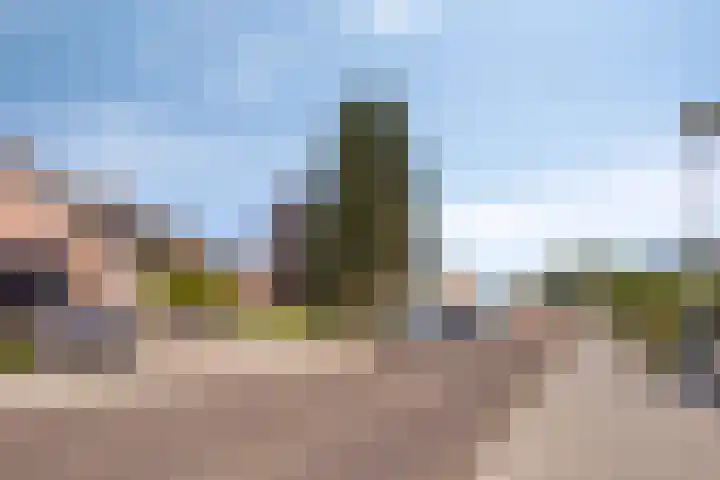 Kievitstraat 13 Goor thumbnail 31